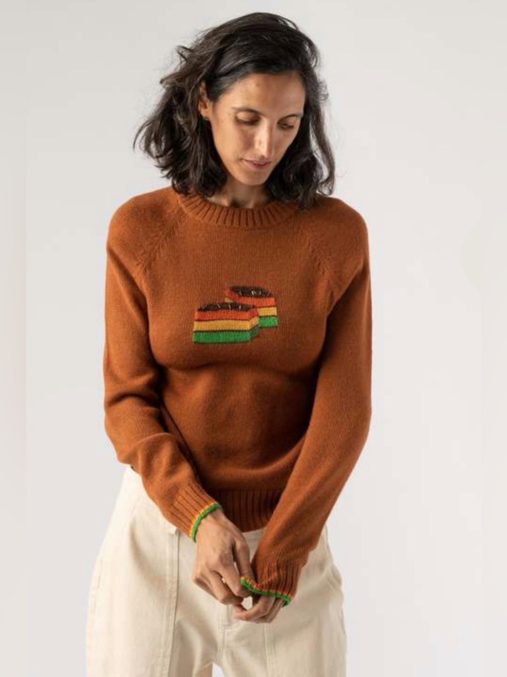 Rachel Antonoff Rainbow Cookie Sweater Rust Brown Medium